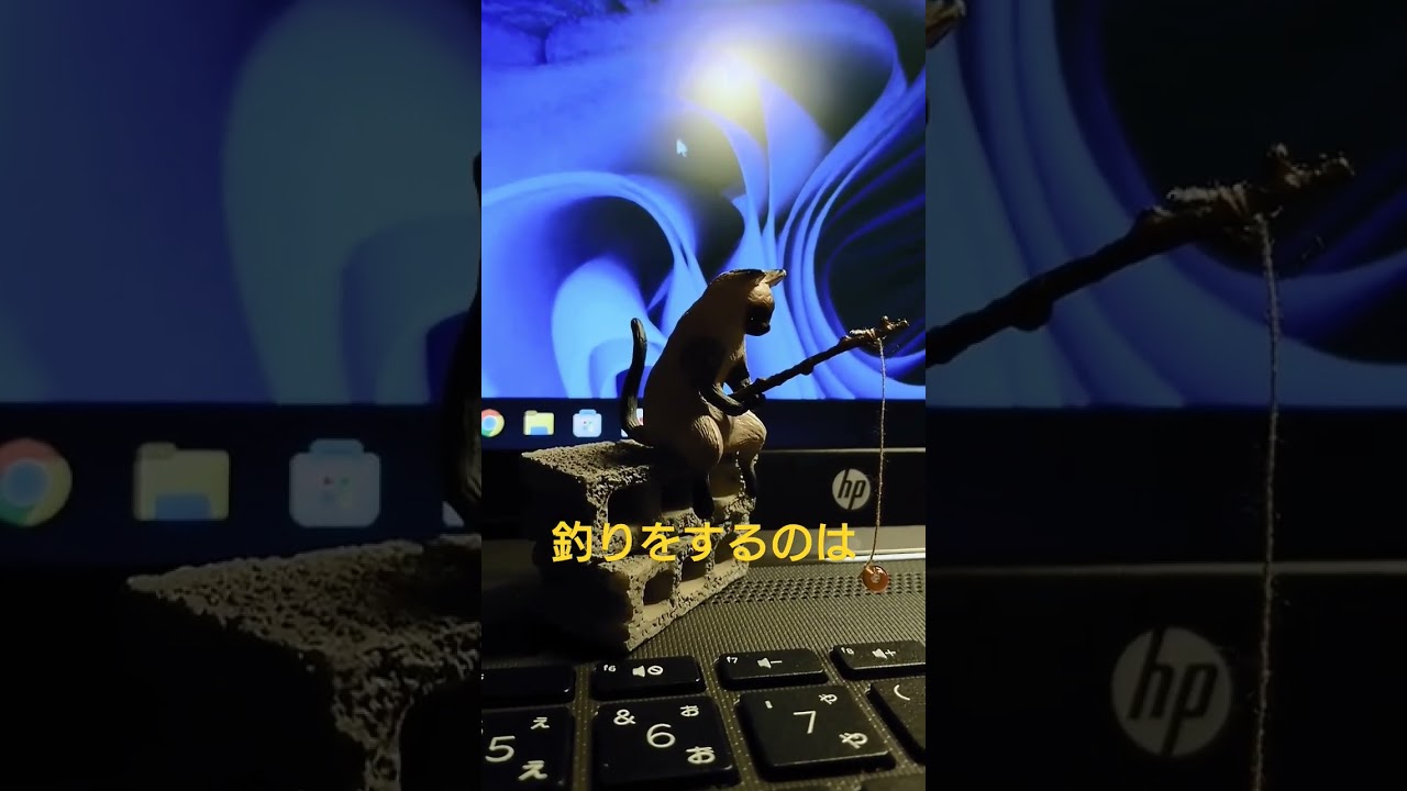 釣りをするシャム猫を発見しました！/I found a Siamese cat fishing! #shorts #猫 #猫好き #cat #funnycats
