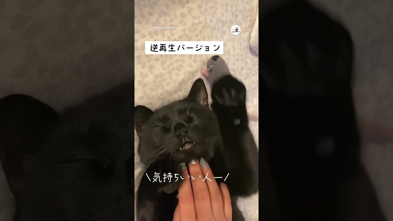 逆再生してみたら…｜PECO