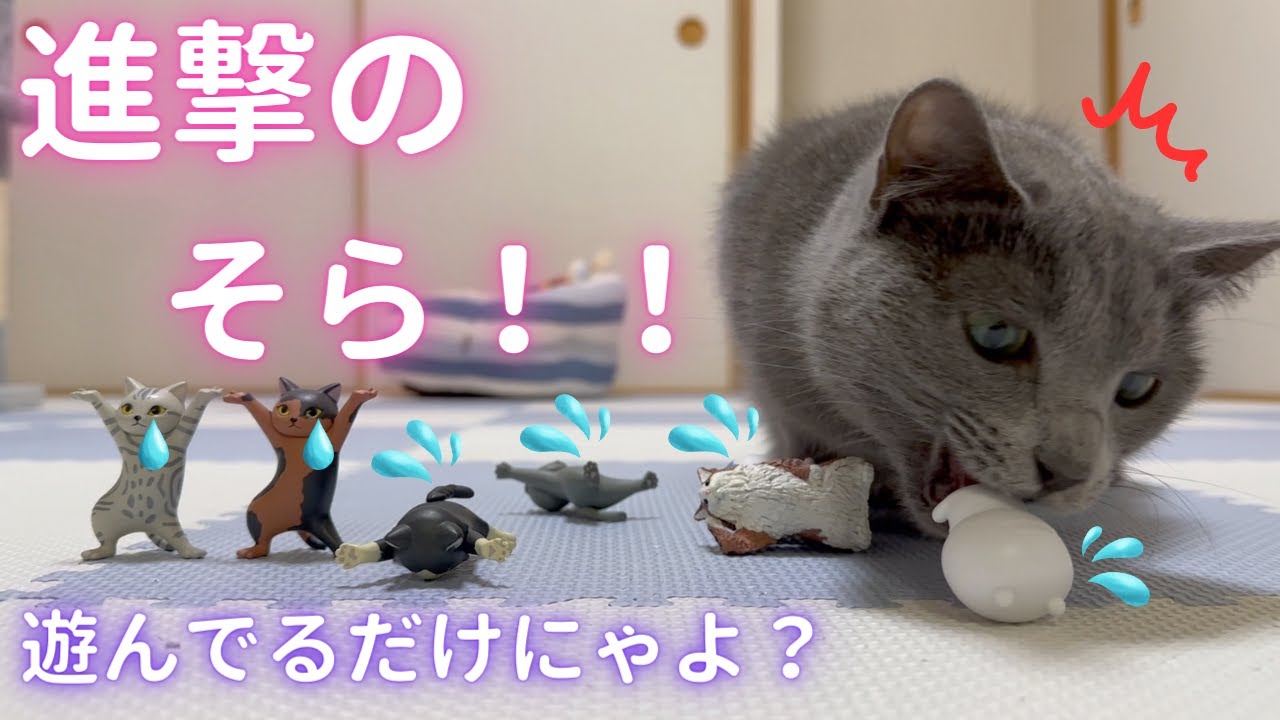 あくまでオマージュです🙇（ロシアンブルー）