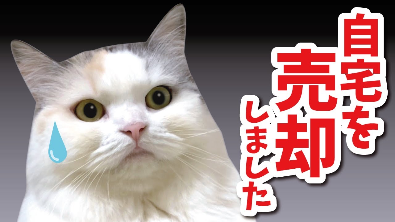 【ご報告】自宅を売却しました【関西弁でしゃべる猫】