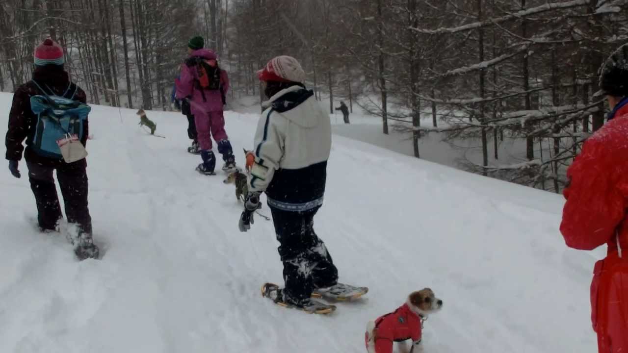 スノーシュー(1)