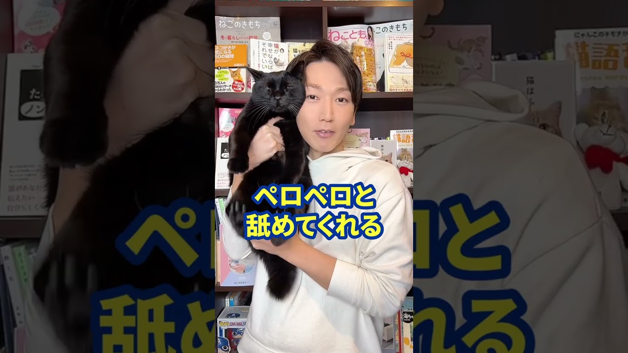 猫好き必見！飼い主を子猫と思う時の特別な行動４つ