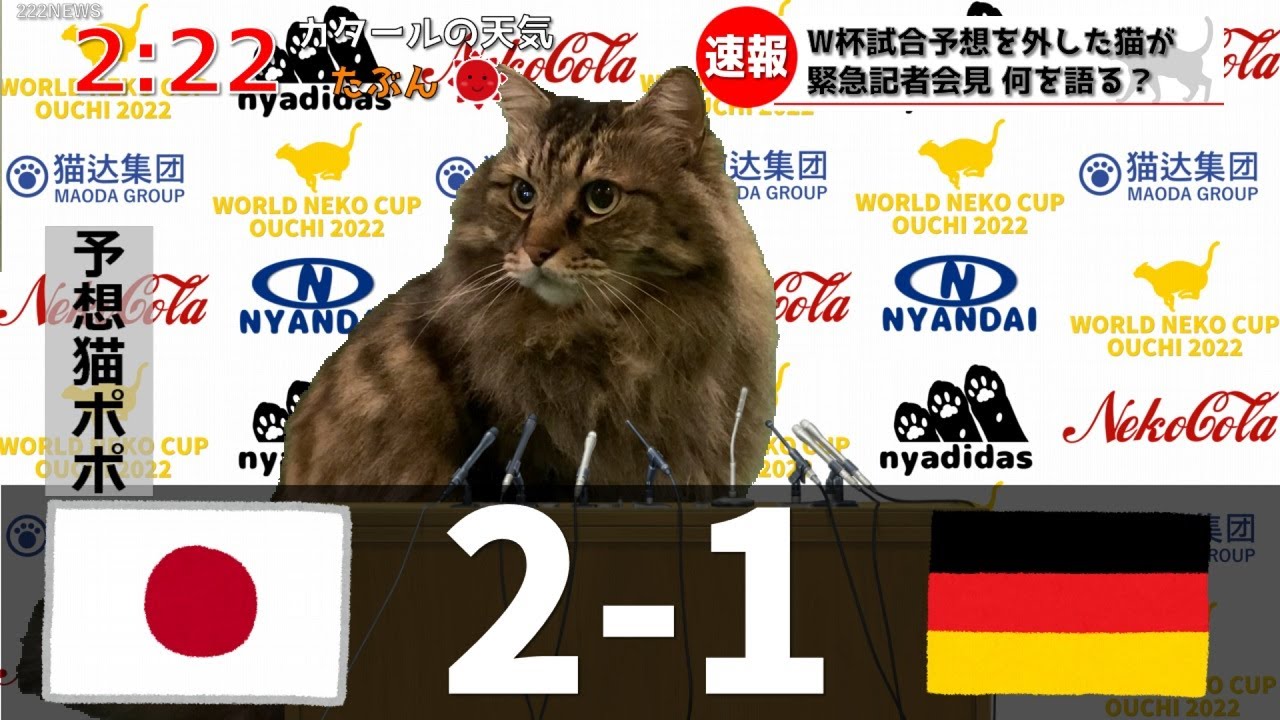 【猫ニュース】猫がW杯 日本 対 ドイツの試合結果の予想を的中させたらしいです。