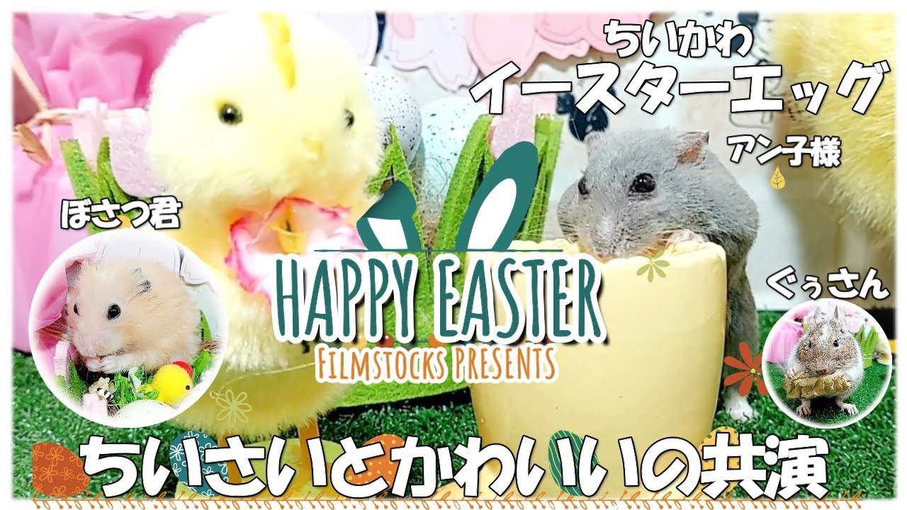 ちいかわなイースターエッグ【キンクマ&ロシアンブルー&デグー】