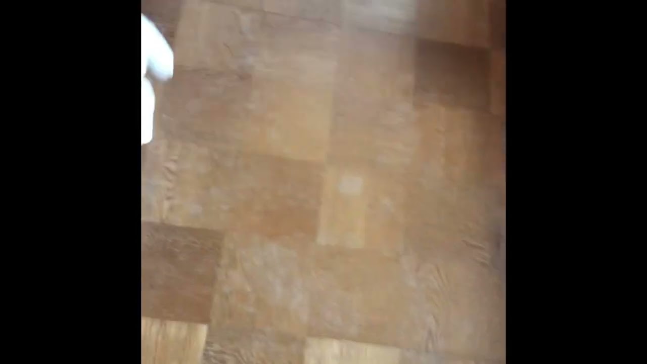 「ついて来ないでほしいにゃ」