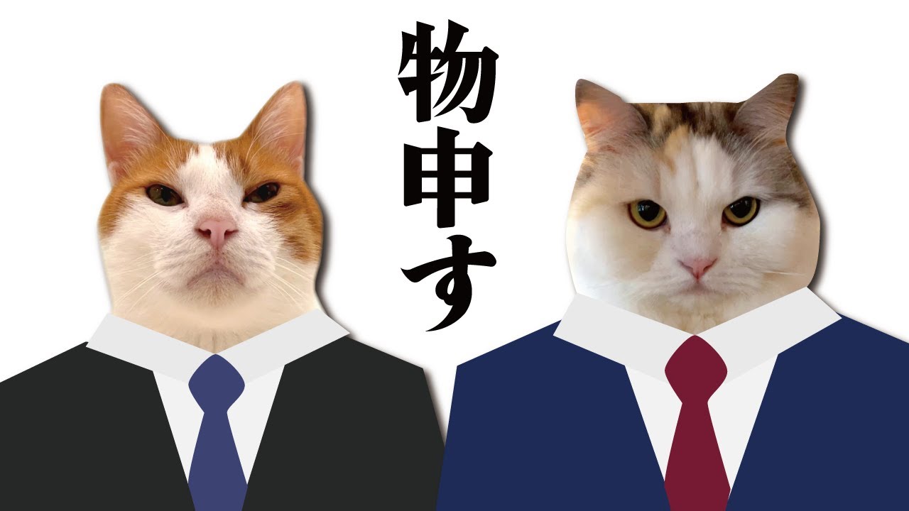 この醜くも美しい世界に物申したい事がございます【関西弁でしゃべる猫】