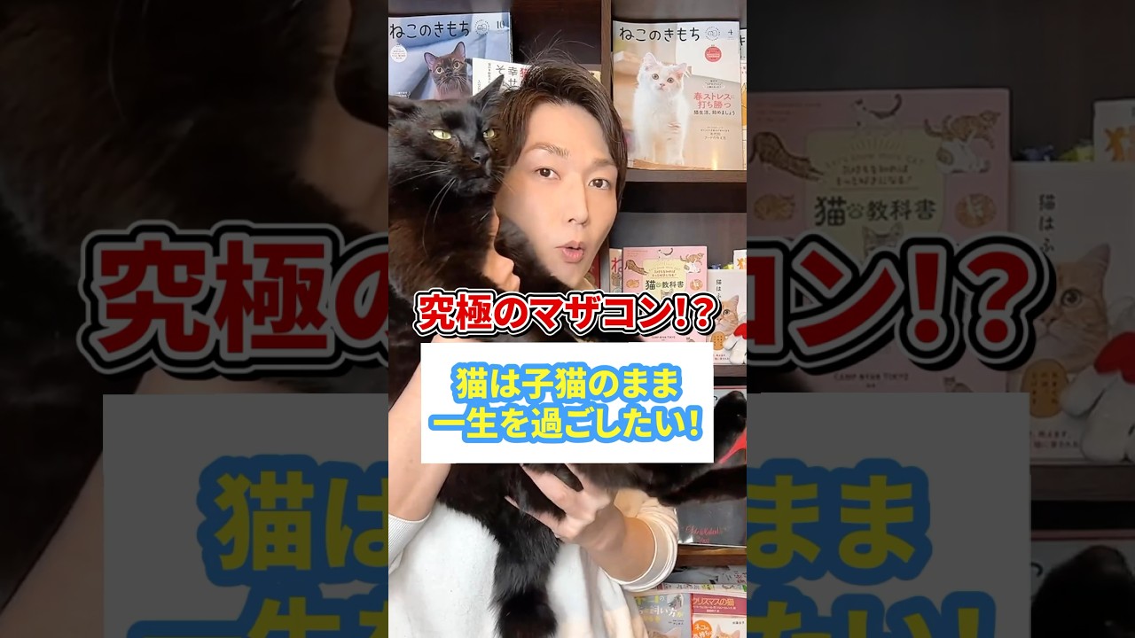 究極のマザコン!?猫は子猫のまま一生を過ごしたい!