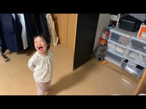 ぺぺ(ロシアンブルー)の誕生日をヘタクソな歌で祝う娘。