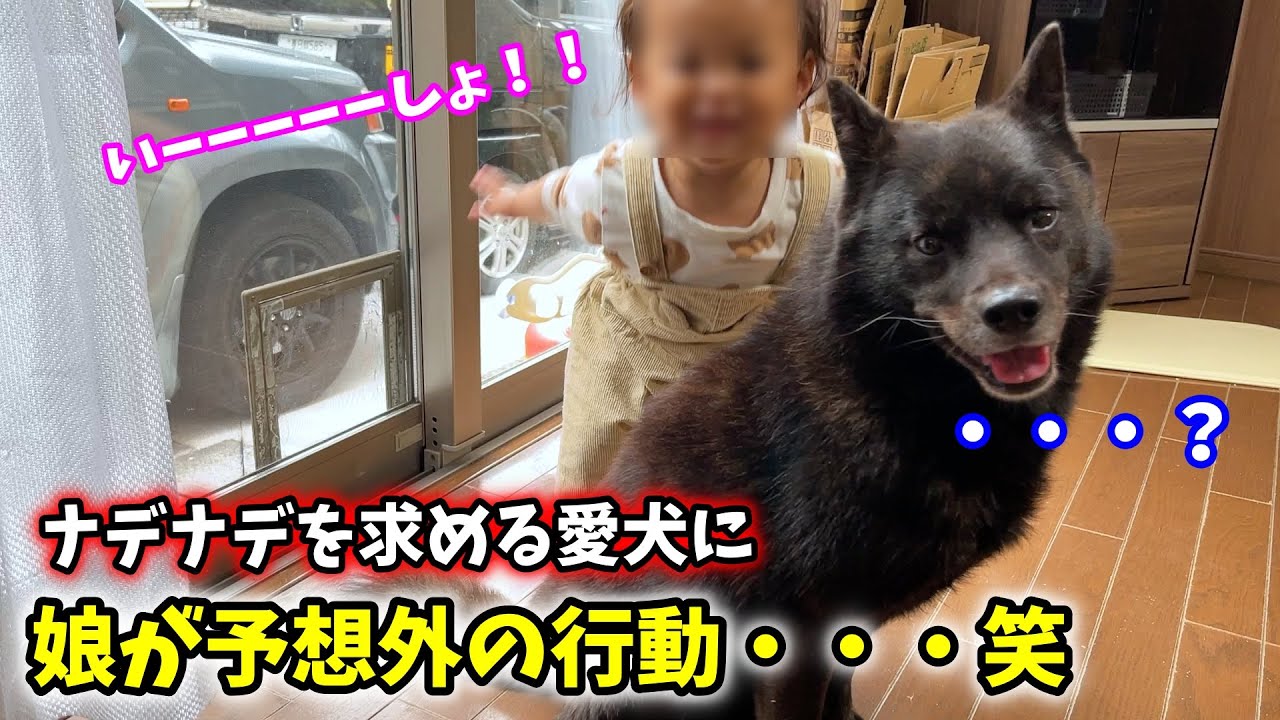 愛犬が娘にナデナデ求めたら娘が予想外の行動にw