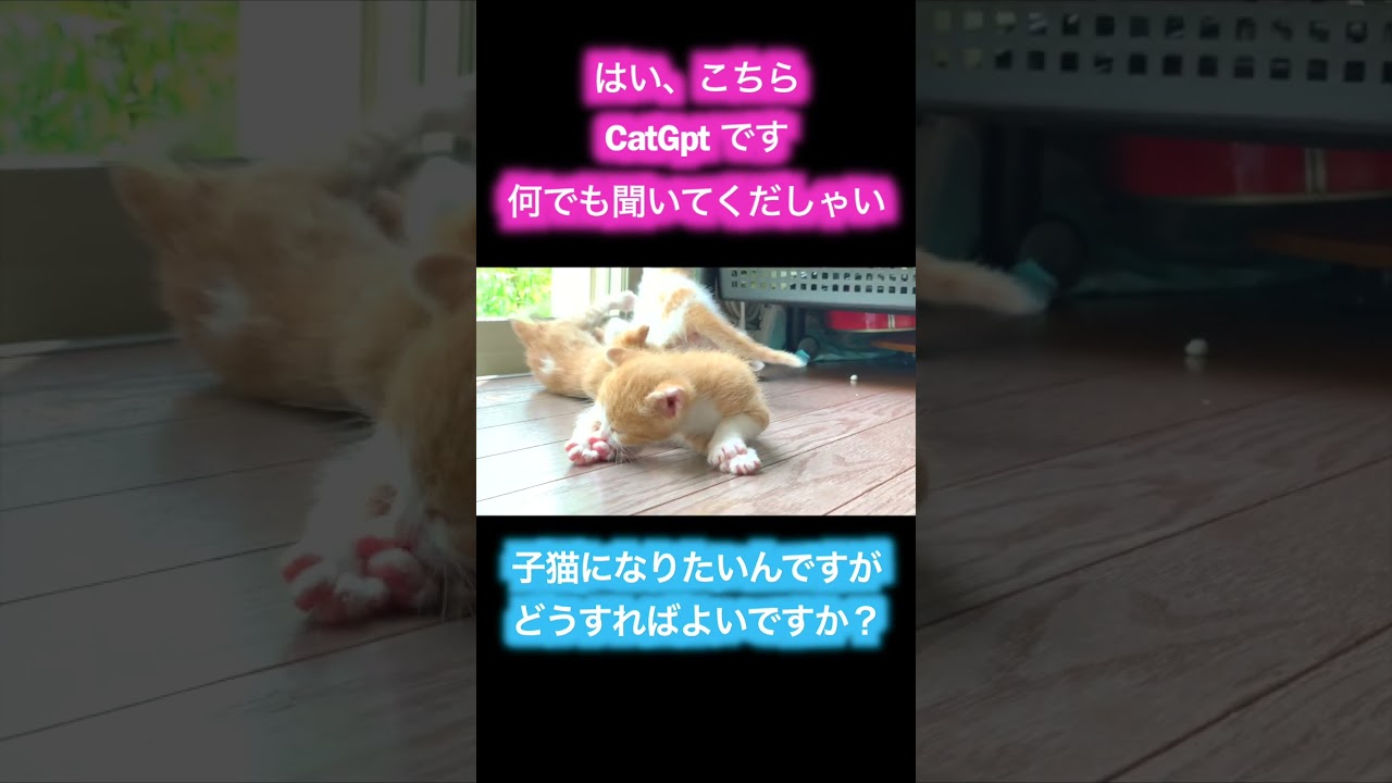 CatGpt🐱に子猫なる方法を聞いてみた