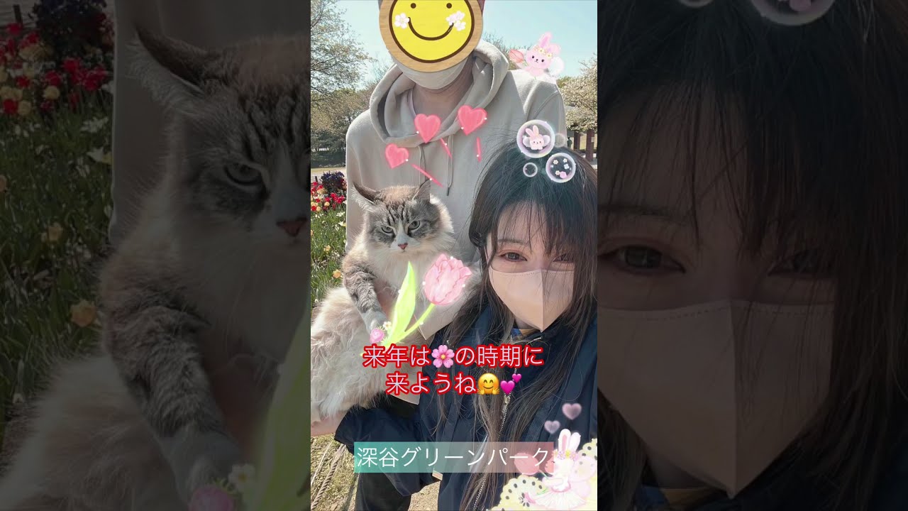 猫語⇨日本語吹替＆字幕に挑戦！昔飼ってたワンちゃんとの再会？えっ、もしかして｡｡｡って、二度見する猫の姿に、何だか胸が熱くなりました😢
