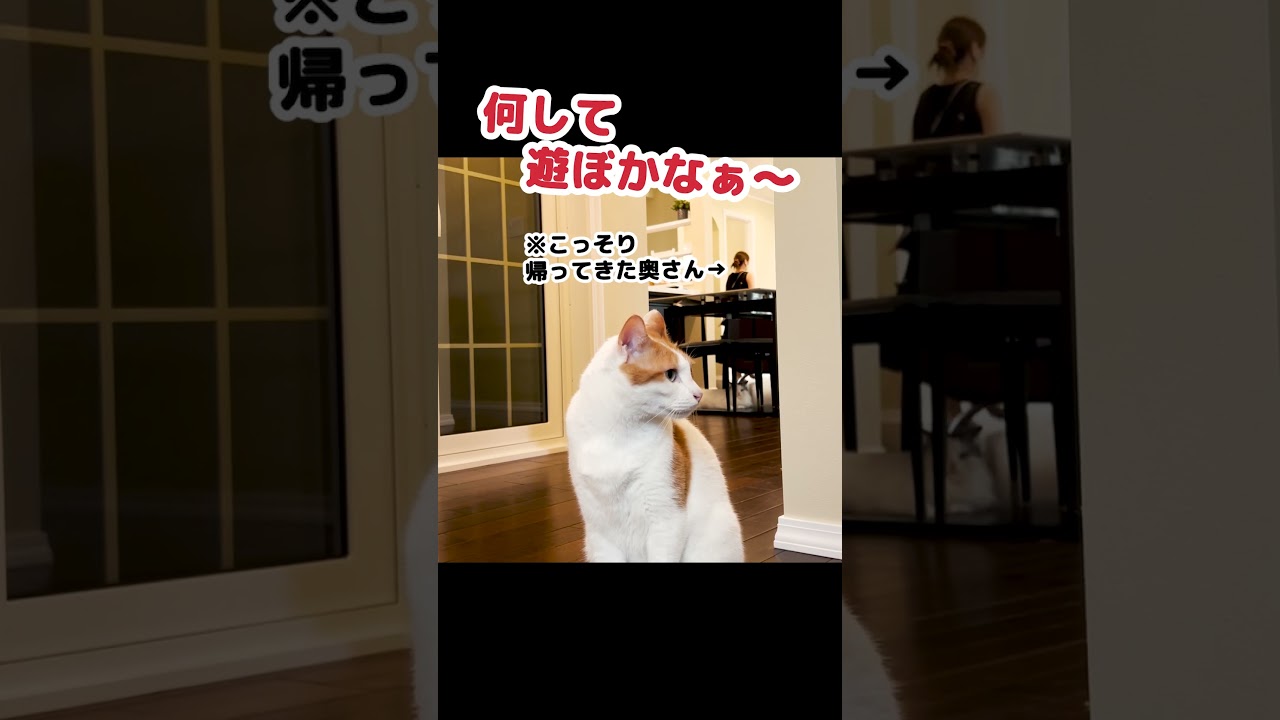 居ないはずの奥さんがいたら… #Shorts