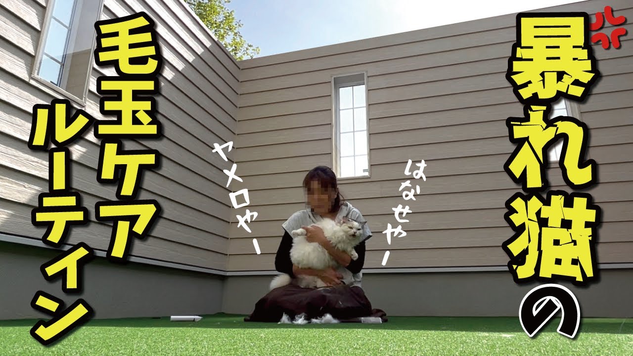 毛玉取りを拒否しまくる猫のバリカンルーティン【関西弁でしゃべる猫】