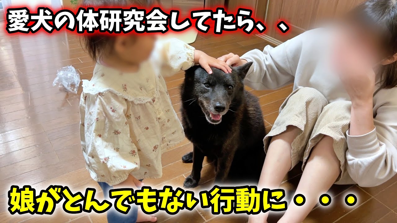 娘と一緒に愛犬の体を研究してたら、ヤバい行動に・・・