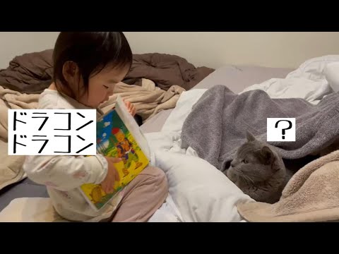 ぺぺ(ロシアンブルー)に桃太郎の読み聞かせをする娘(速読)