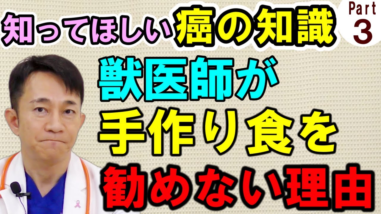 【犬猫の癌】日本一の獣医さんのガンの解説を聞いてほしい【Part.3】【予防方法と手作り食】