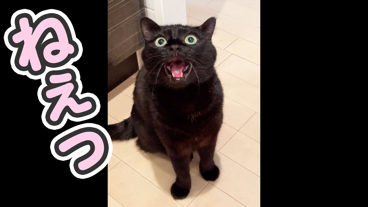 【反則】え、こんな甘え方するの…？