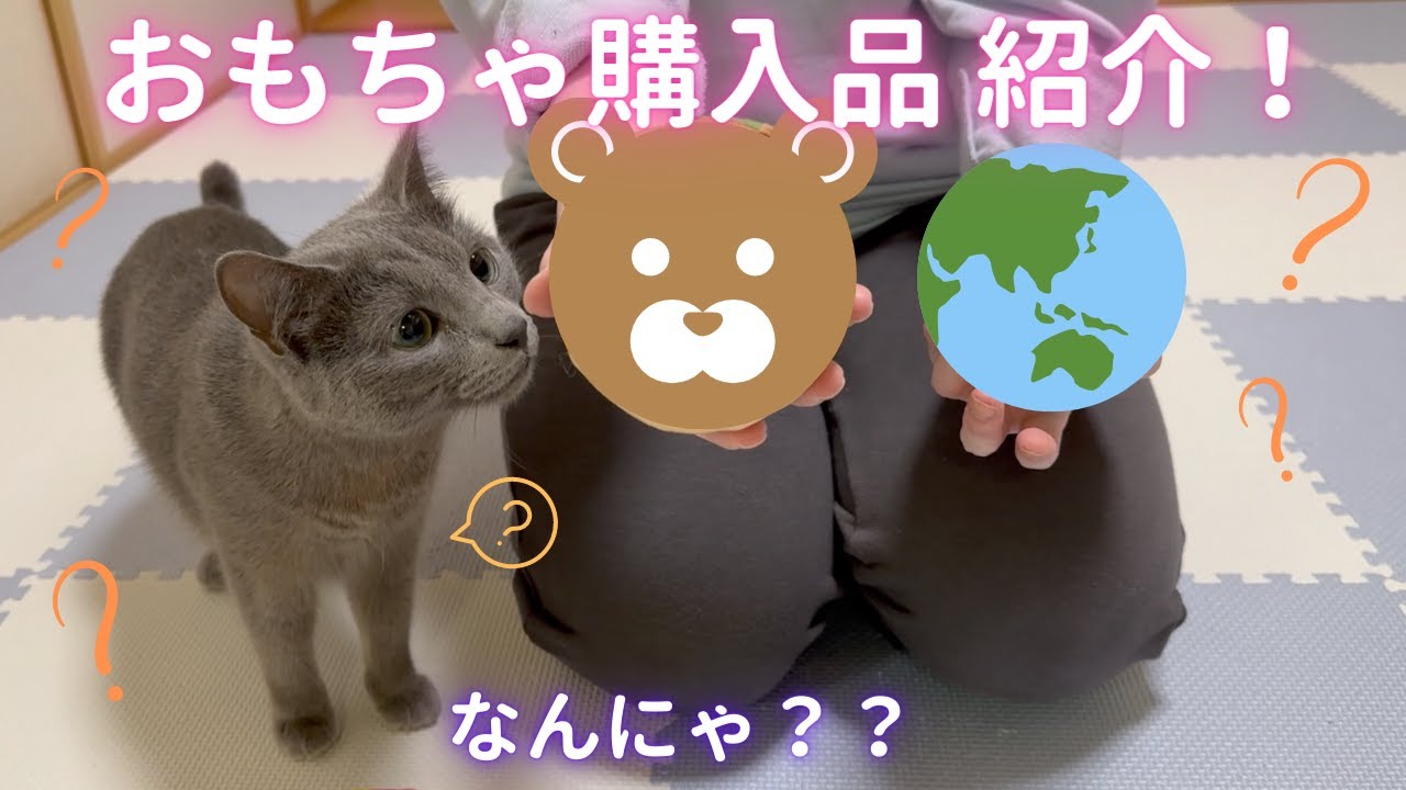 おもちゃ購入品紹介！超簡単DIYあり（ロシアンブルー）