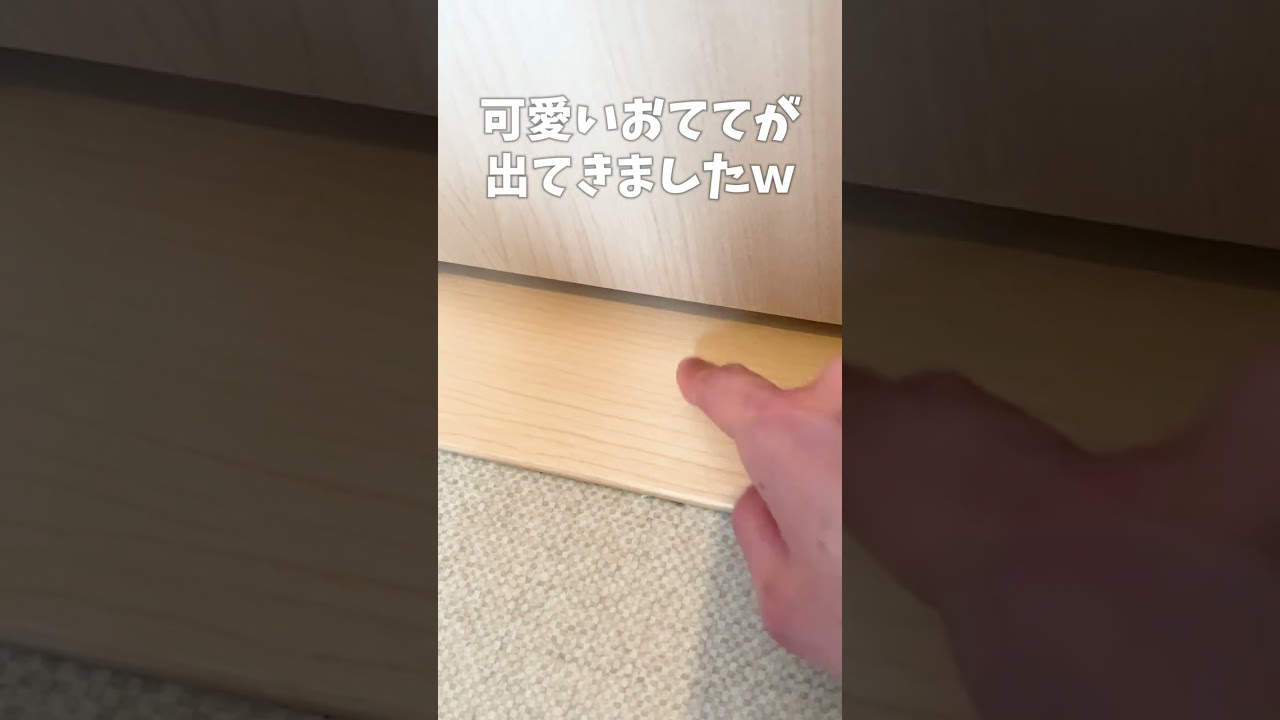 掃除中にドアの隙間から…【スコティッシュフォールド】#shorts #かわいい #子猫