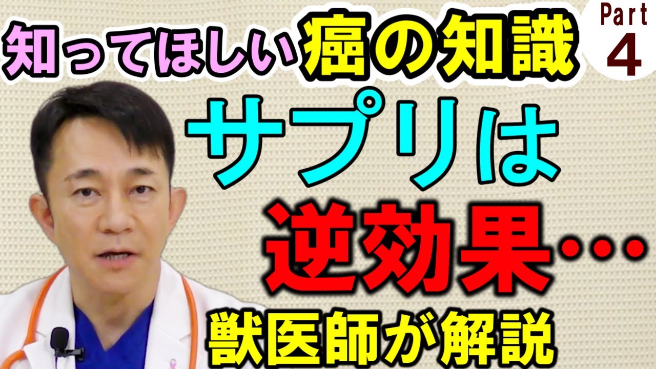 【犬猫の癌】日本一のガンの獣医さんの解説を聞いてほしい【Part.4】【サプリメントの有効性】