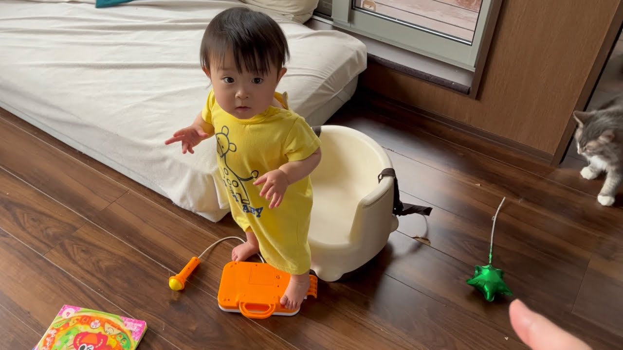 赤ちゃんが歩く場面を撮影したいパパと遠くから眺める猫　ノルウェージャンフォレストキャット　Dad who wants to shoot the scene where the baby walks