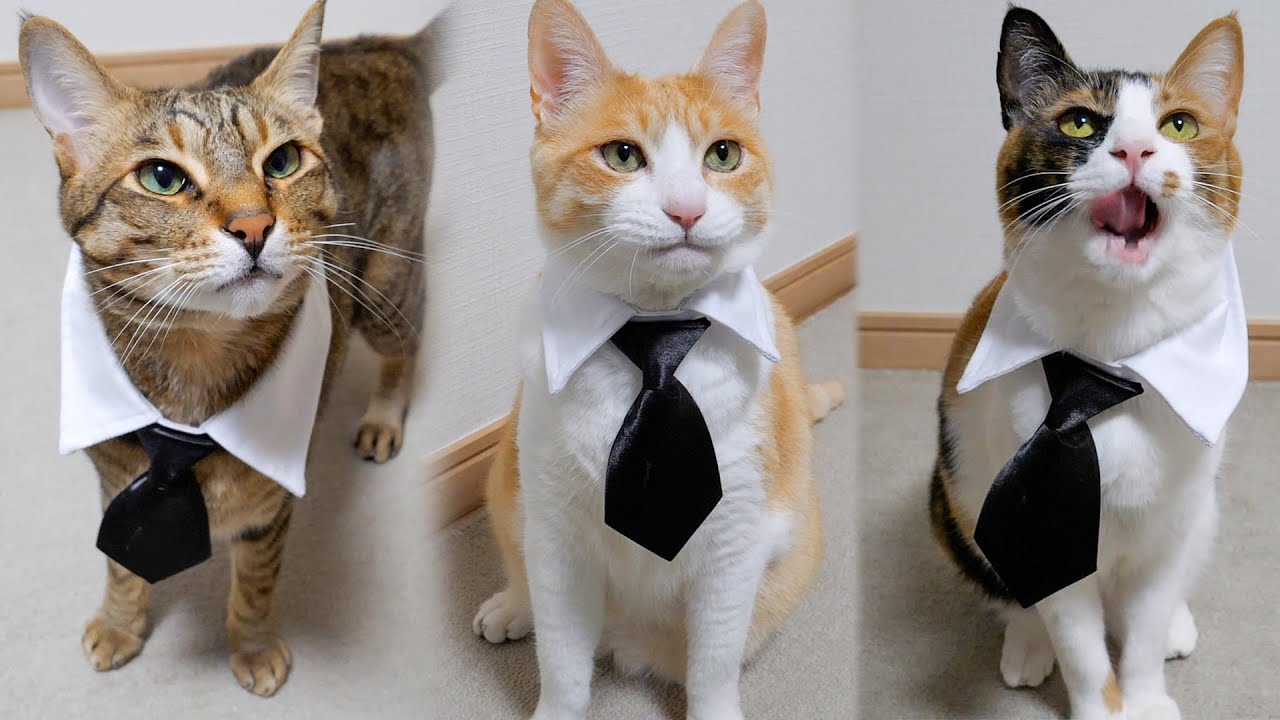 チャンネル名が変更になった件について