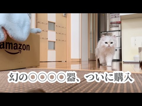 【ペルシャ猫】みんなはもう持ってる？これいいよ