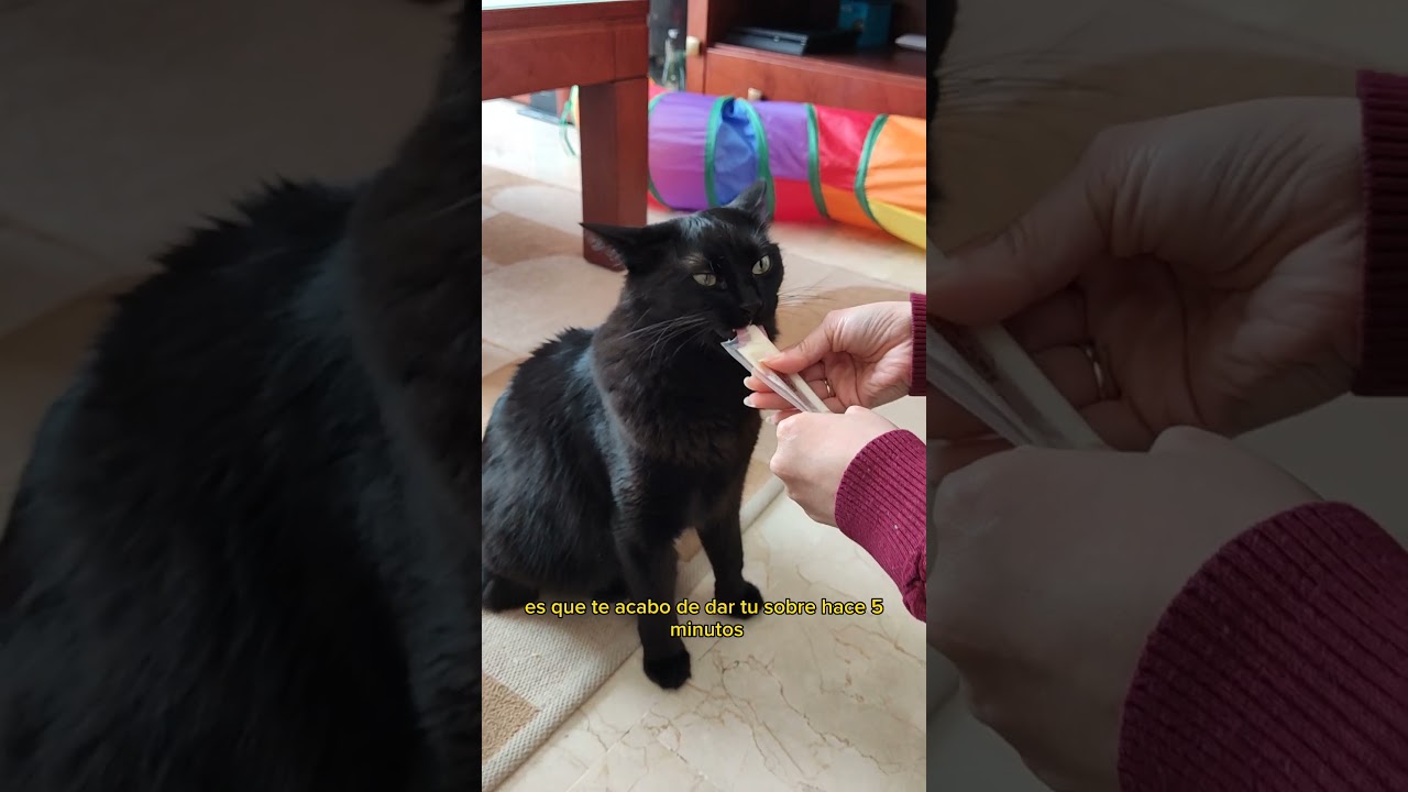 Karen ya no me quiere