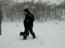スノーシューで散歩　SNOWSHOES
