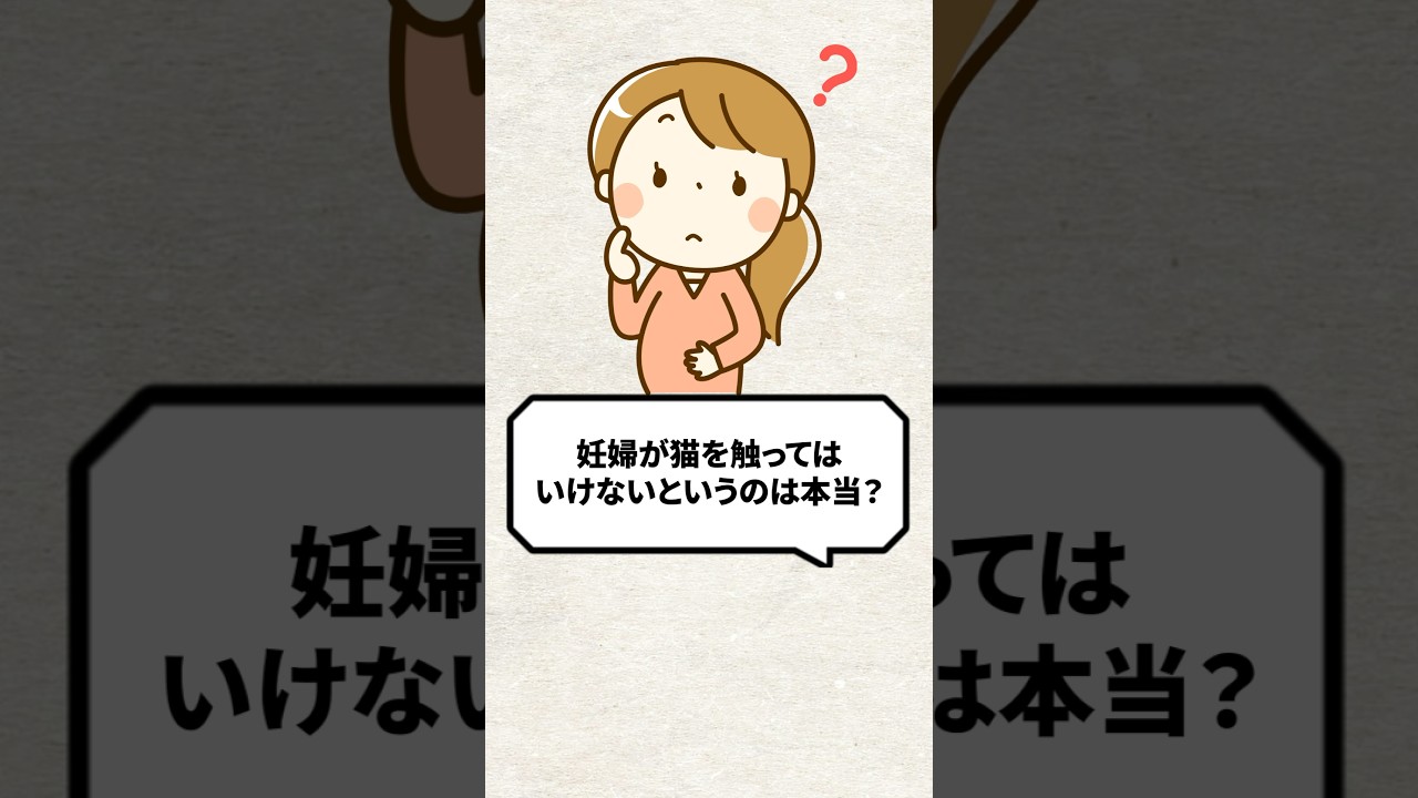Q:妊婦が猫を触ってはいけないって本当?