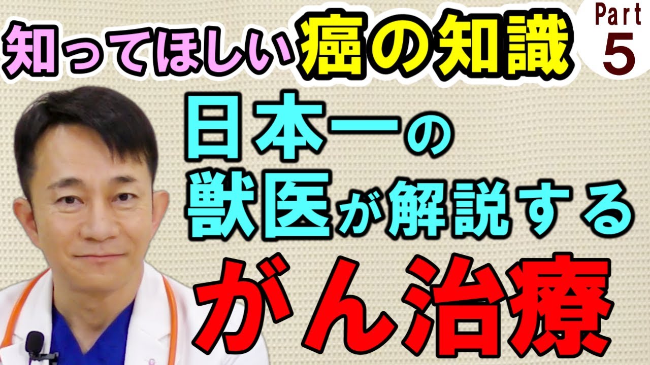 【犬猫の癌】日本一のガンの獣医さんのガンの解説を聞いてほしい【Part.5】【治療方法】