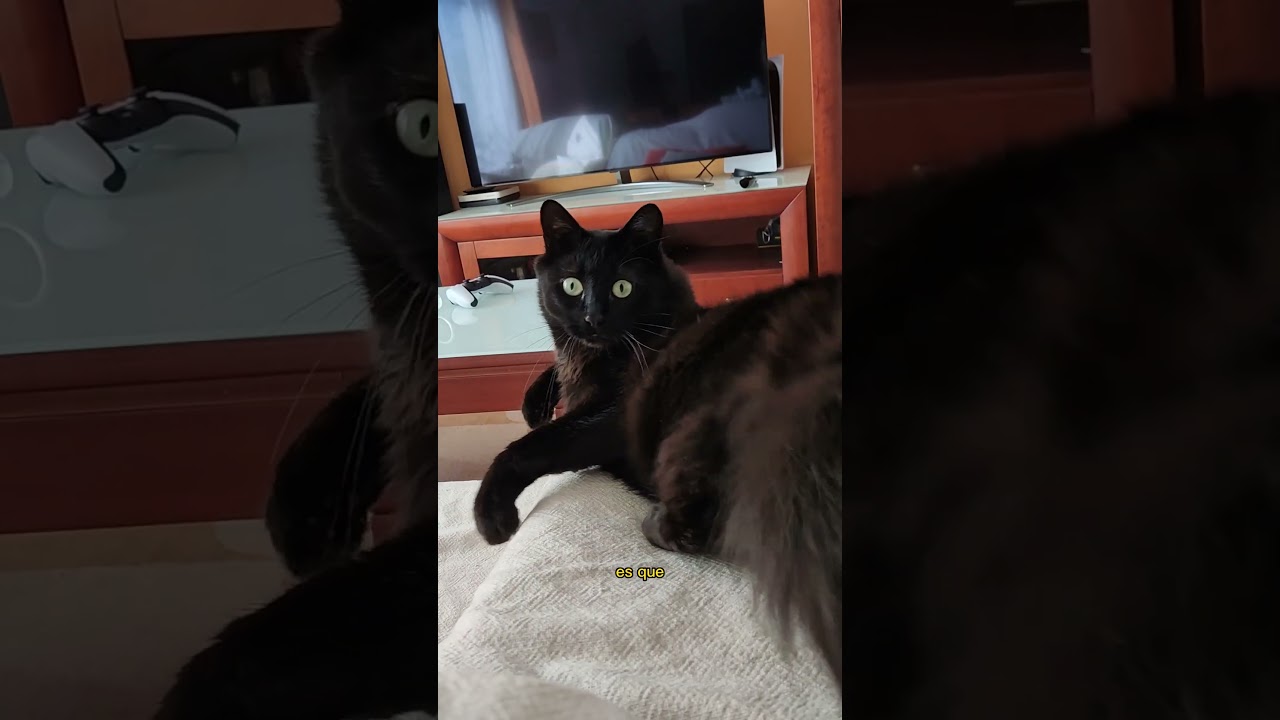 Te quiero solo para mí