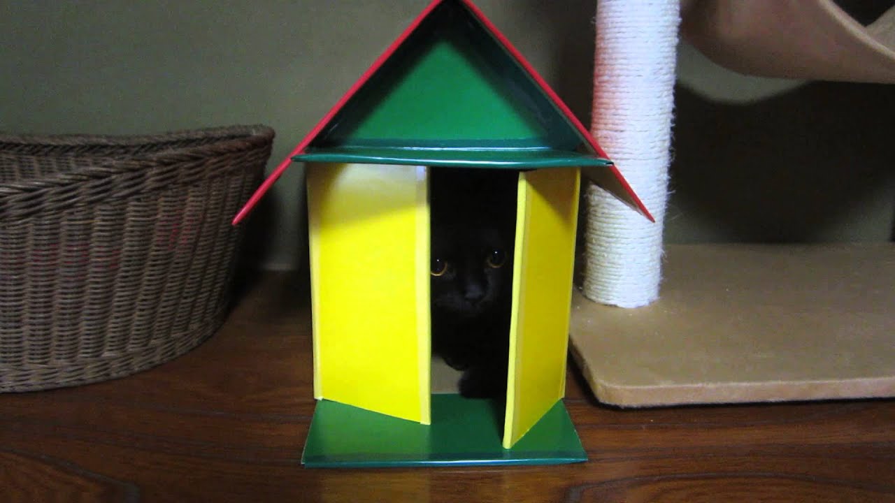 黒猫（ボンベイ）　手作りラスタにゃんこハウス