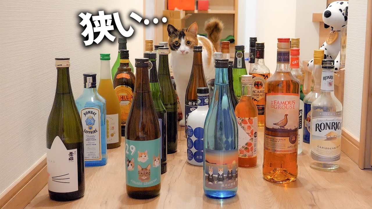 猫たちの目の前に大量の酒瓶を置いて邪魔してみたらネコたちは通り抜けられるの？？？