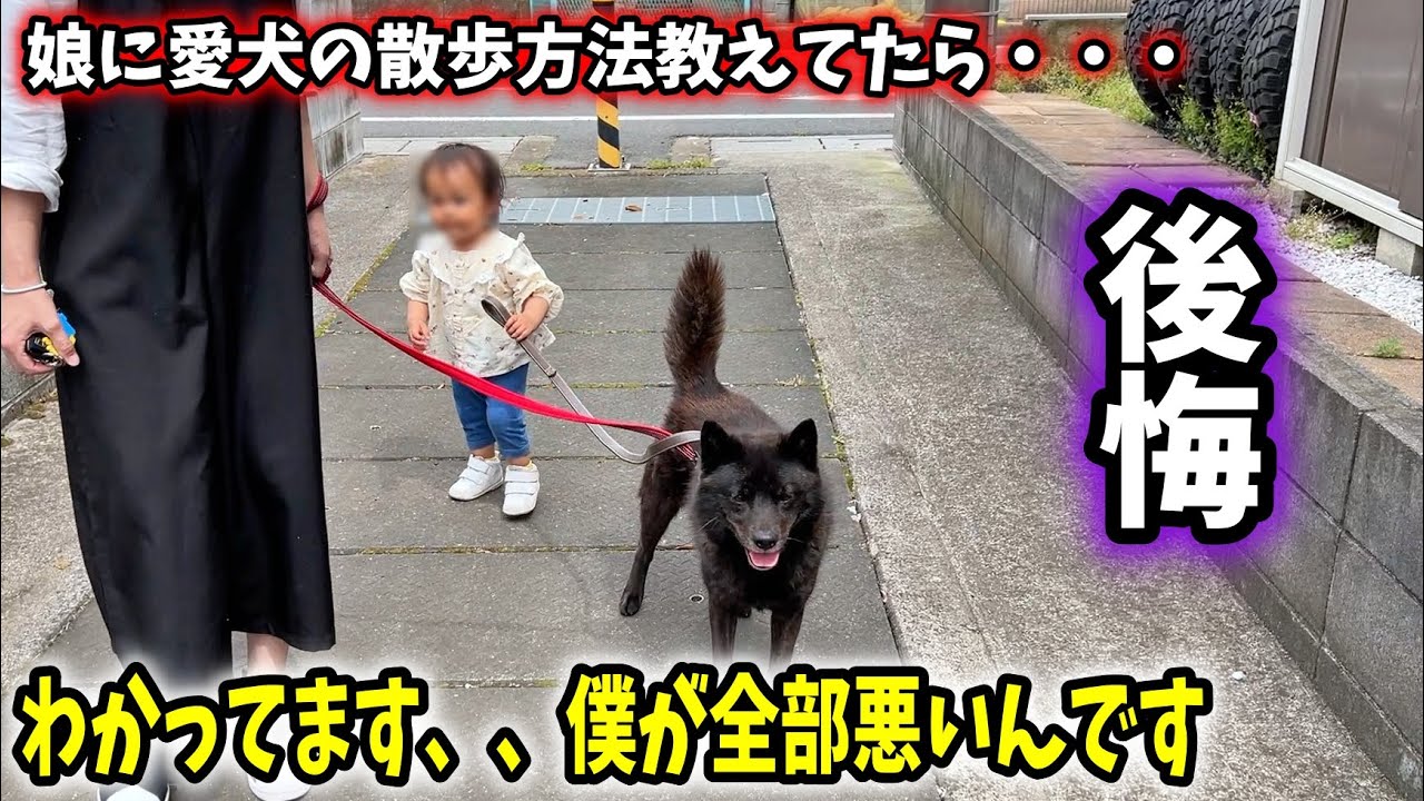 【後悔】娘に愛犬の散歩方法を教えてたら、こうなった・・・