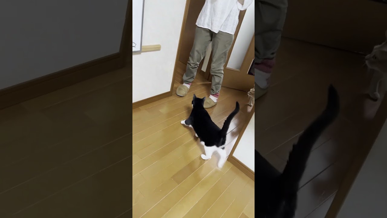 おやつちょうだいなあ～
