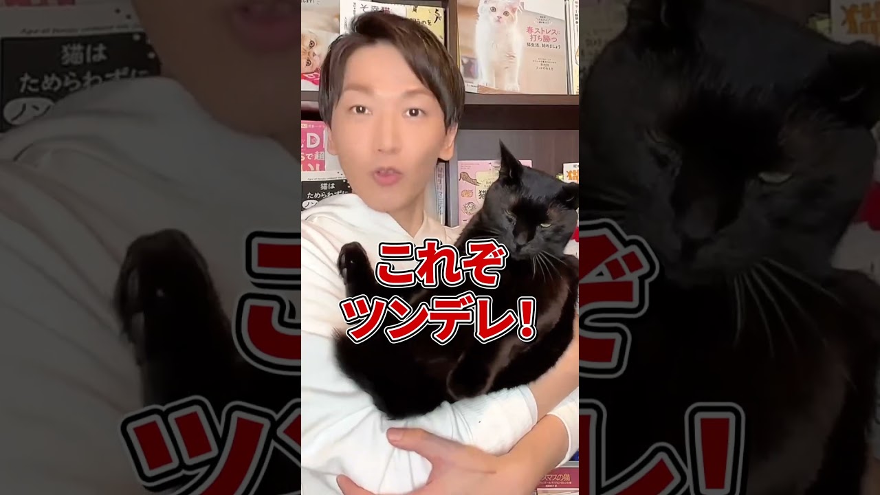 ちょっと残念でめっちゃかわいい猫の雑学７選