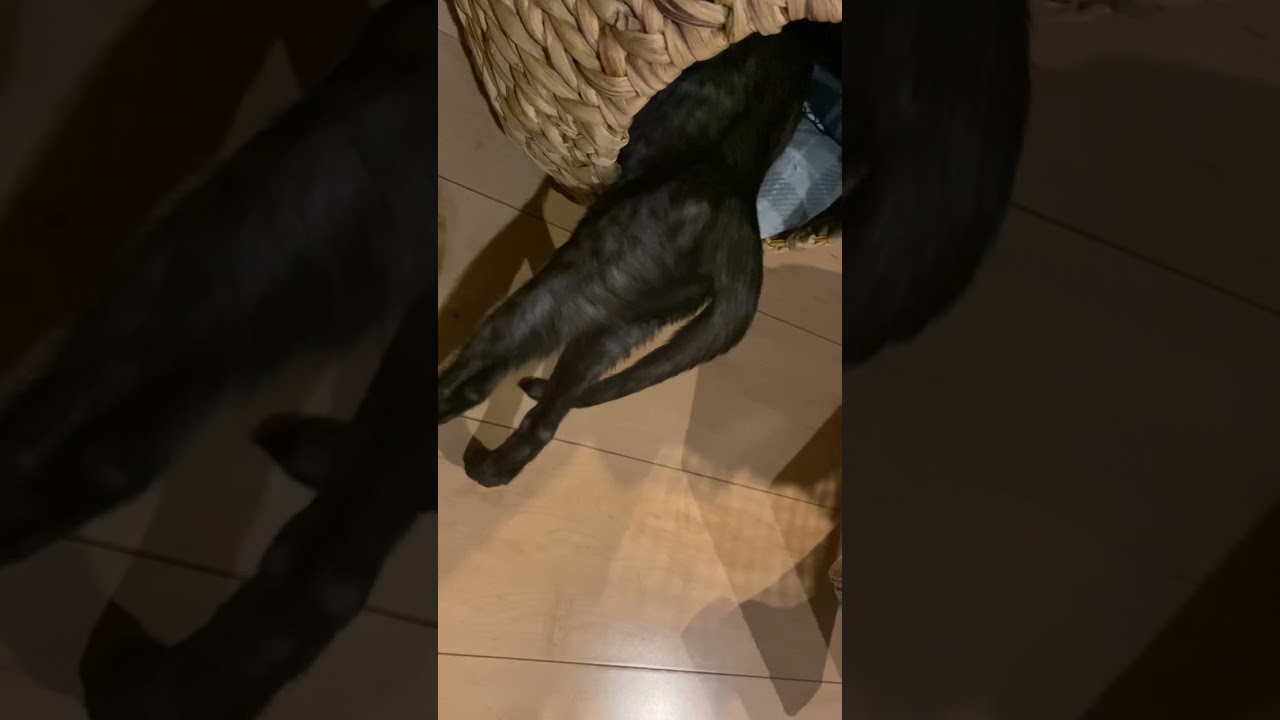 おヒップが出ている事案が発生