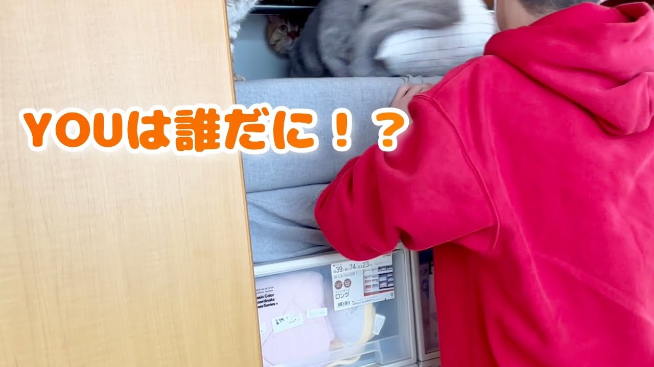 GWににぃにが帰ってきた！