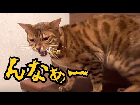サイコパス発動して唸りながら練り歩くニコちゃん