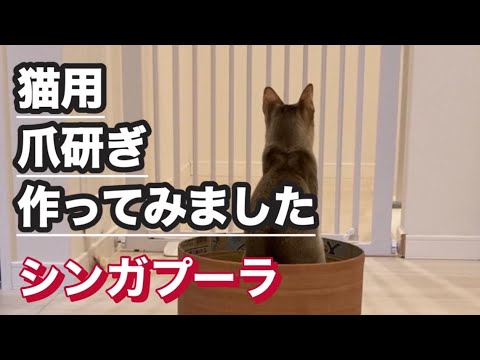 猫の爪研ぎ 作ってみました　シンガプーラ　ねこ動画