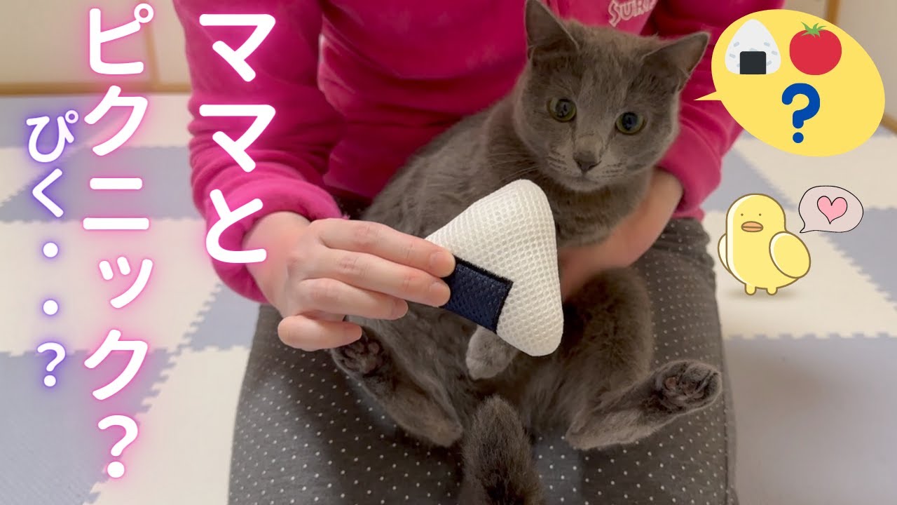 楽しいピクニック(？)をするママと猫（ロシアンブルー）