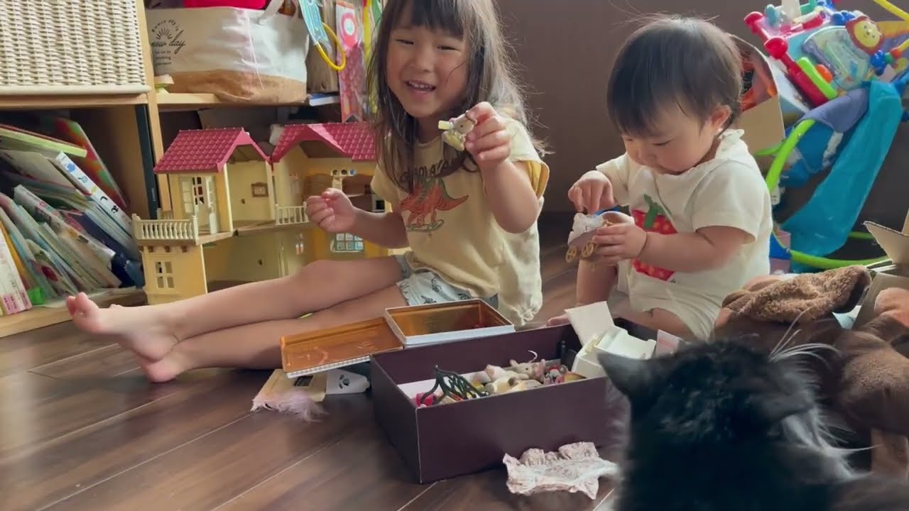 娘と一緒に朝食を待つ猫　ラガマフィンA cat waiting for breakfast with daughter. Ragamuffin.