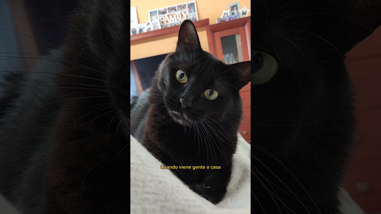 Es inaceptable Karen