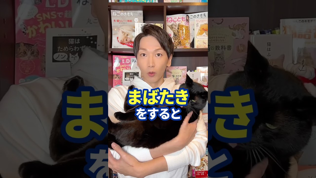 最新！研究で証明された！！猫とまばたきの意外な関係