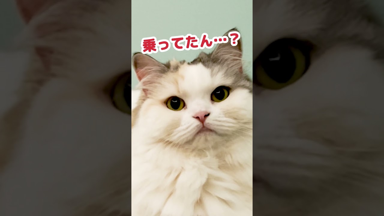 １６年前の事故の時…実はあの場所にいました #Shorts