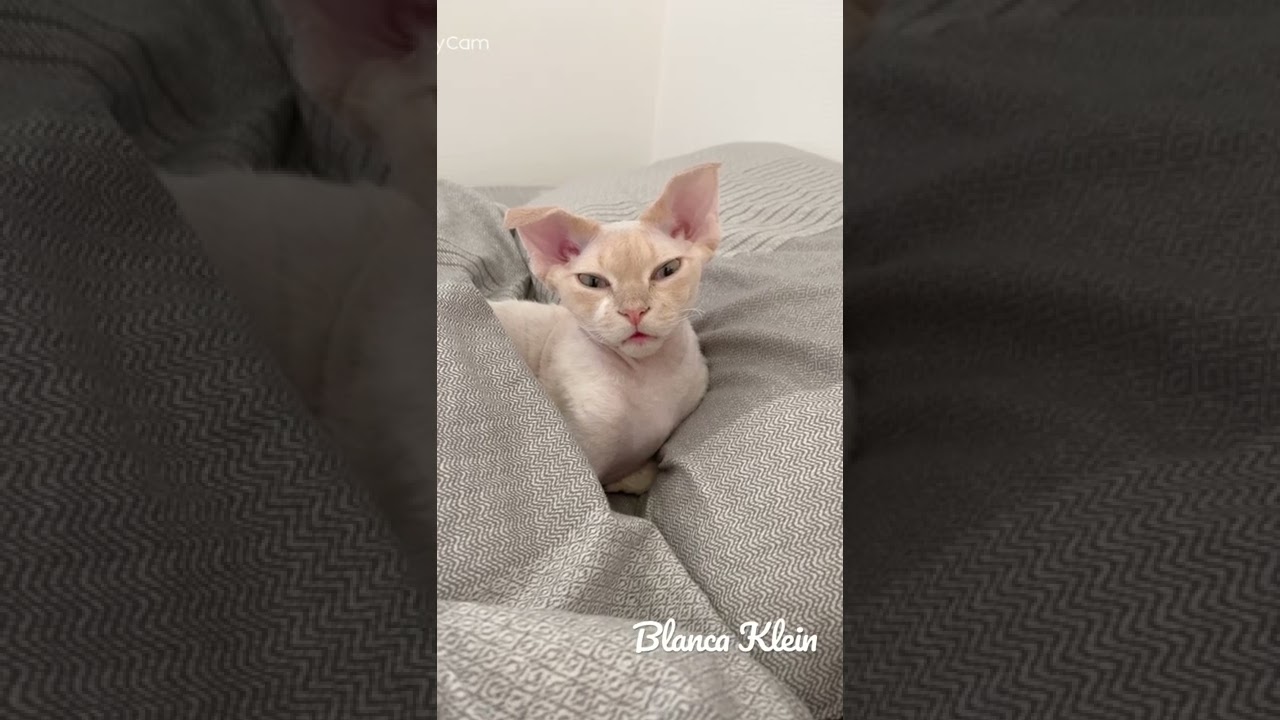 眠いなあー💤