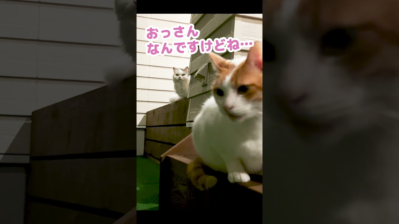 怖い出来事がおきました #Shorts