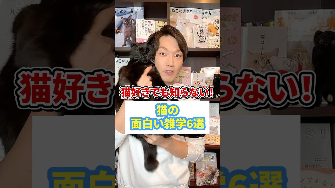 猫好きでも知らない！猫の面白い雑学６選
