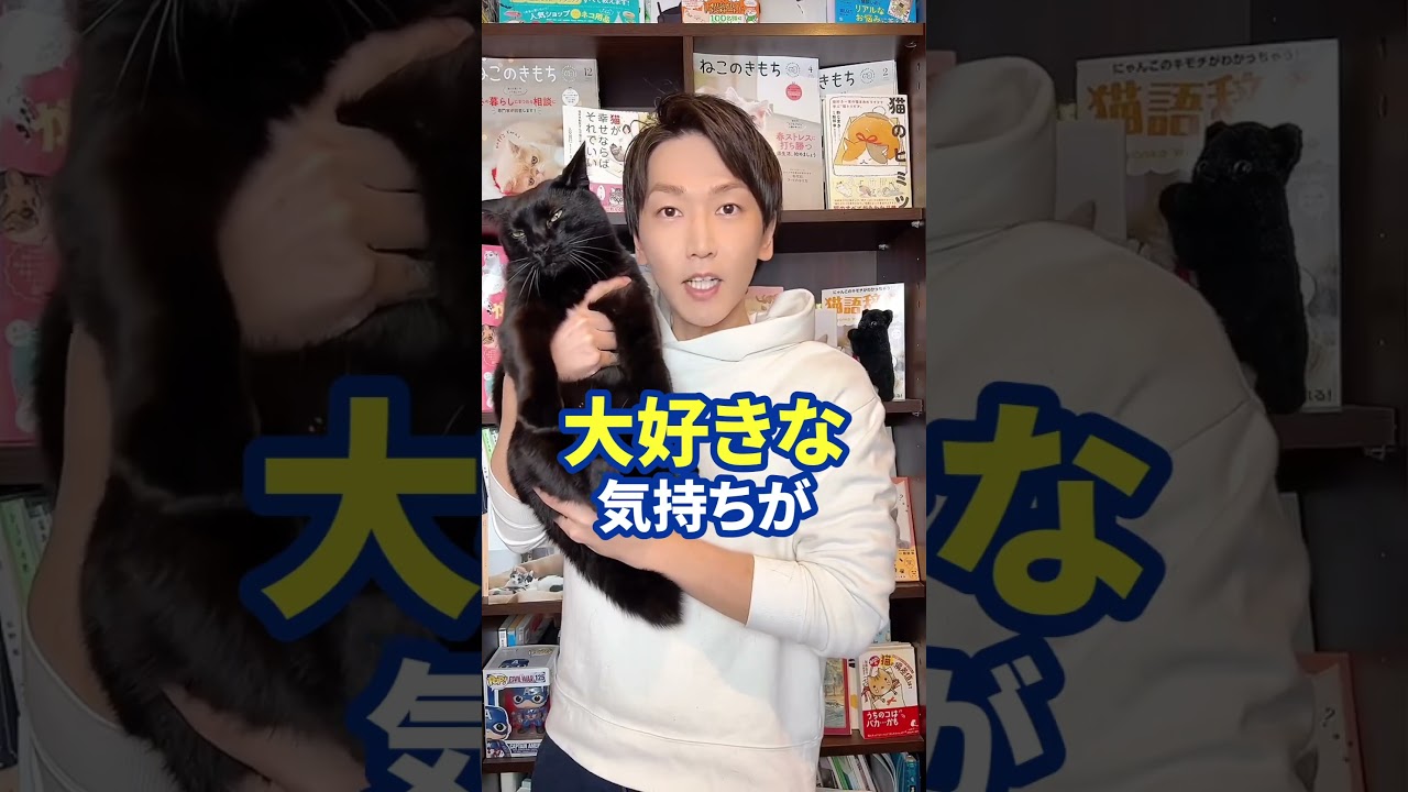 猫が頭突きをしてくる時の飼い主へのメッセージ